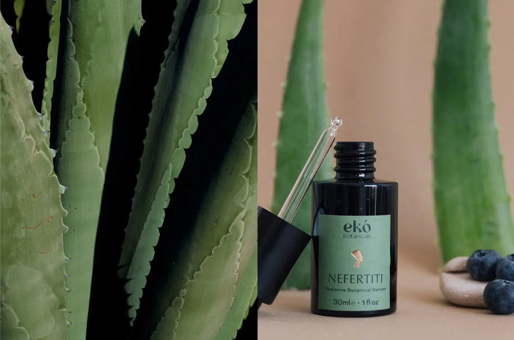 <span style="color: #ffffff;">The Best Serum for Glowing Skin</span> - EKÓ BOTANICALS