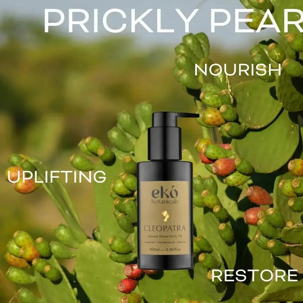 Sunrise Ritual Body Oil - Deeply Moisturing - EKÓ BOTANICALS